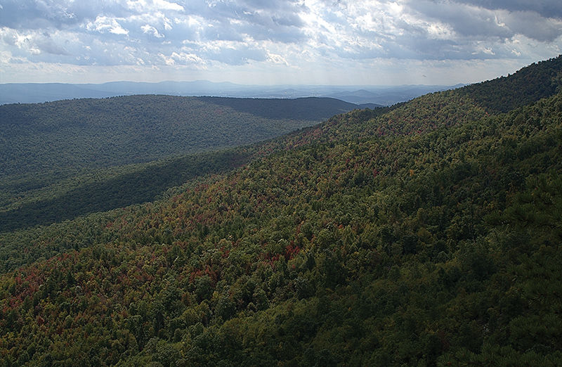 Into the woods: Diversity of Tizzle Flats casts its spell on hikers
